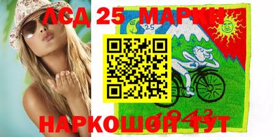 spice Моздок