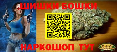 spice Моздок
