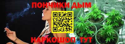 спиды Можга