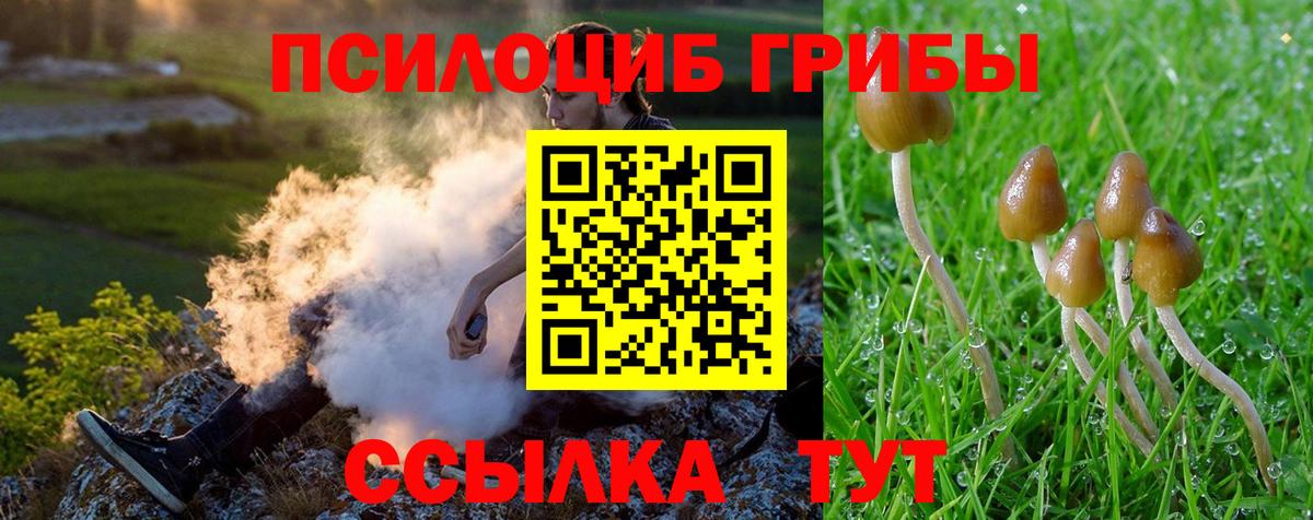 Псилоцибиновые грибы Psilocybine cubensis Чебоксары