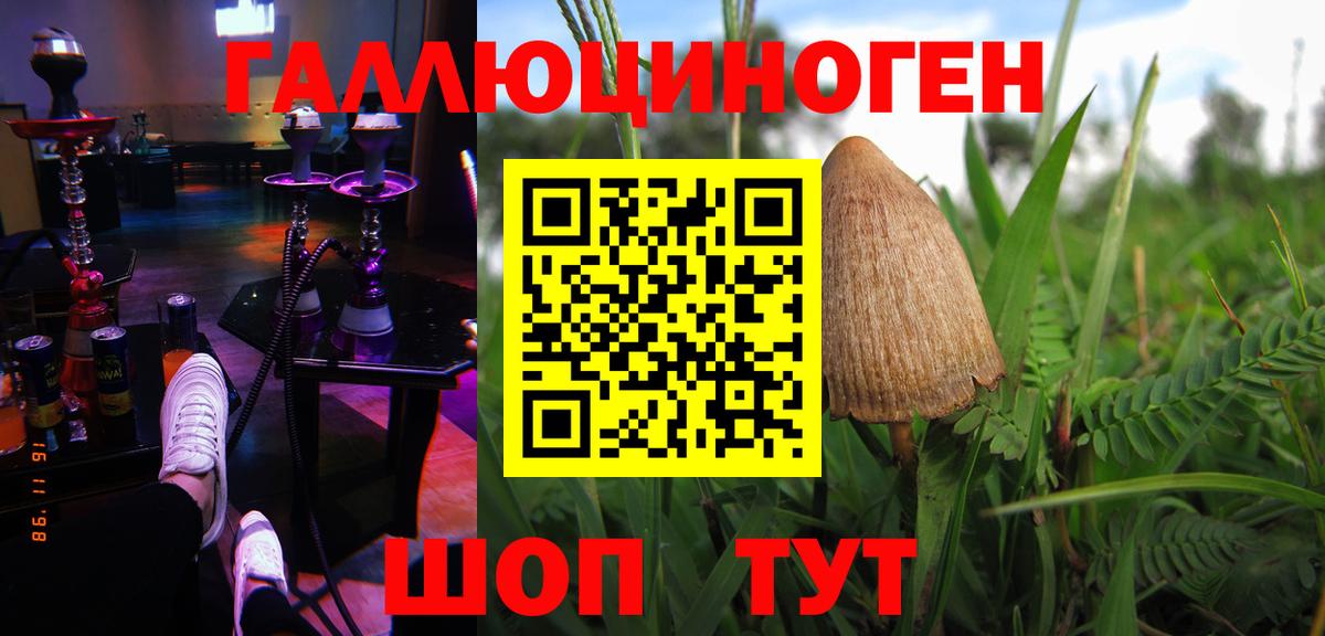 Чебоксары  Галлюциногенные грибы GOLDEN TEACHER  Вход с VPN 